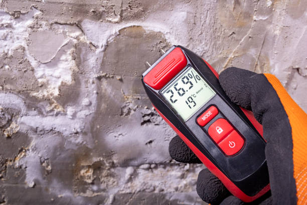 Best Toxic Mold Removal  in Quartzsite, AZ